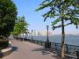 New York City Battery Park